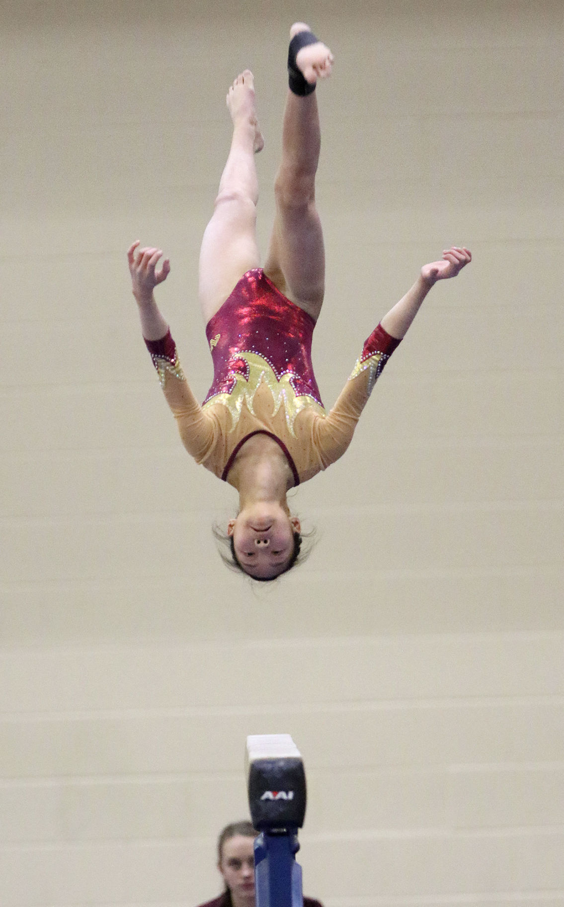 Chesterton Sectional gymnastics